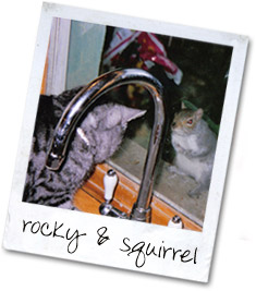 Rocky & Squirrel