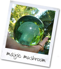majic mushroom